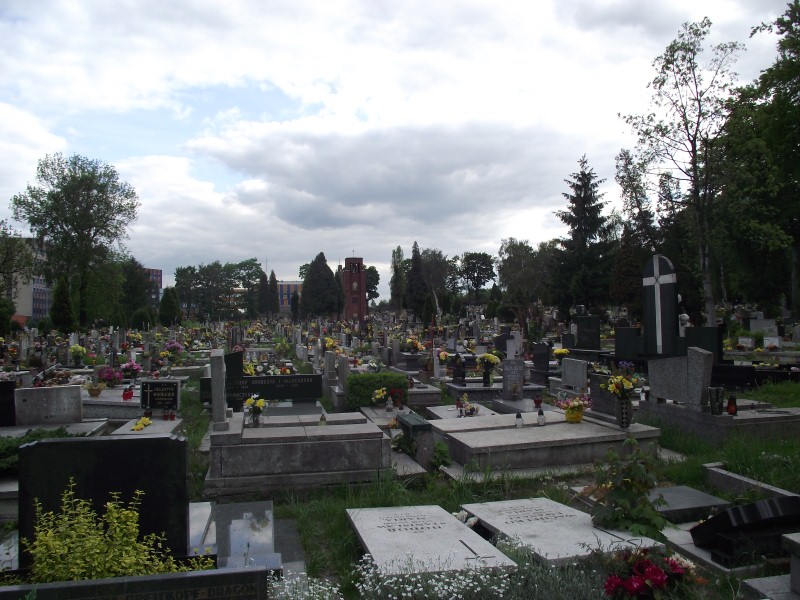 cmentarz-sienkiewicza
